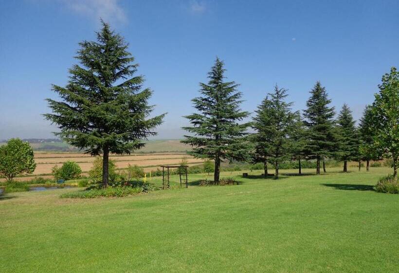 פנסיון Glen Ormond Country House