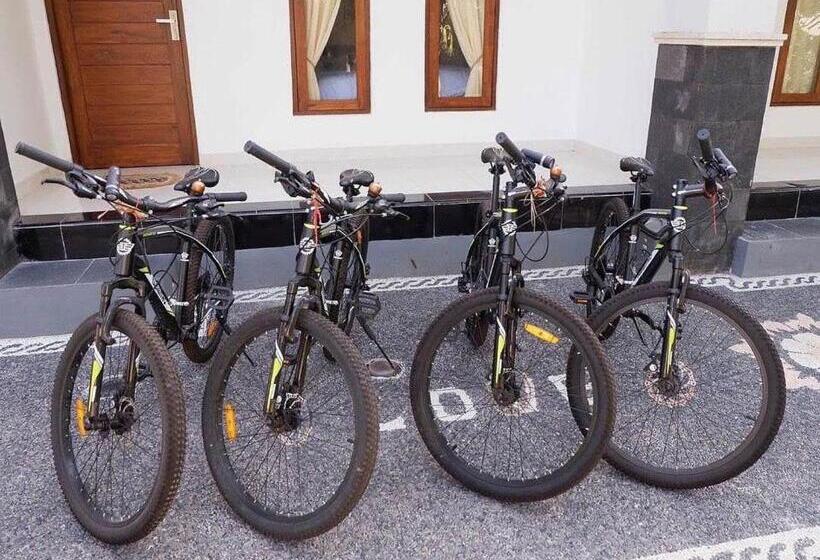 פנסיון Lagriya Guest House