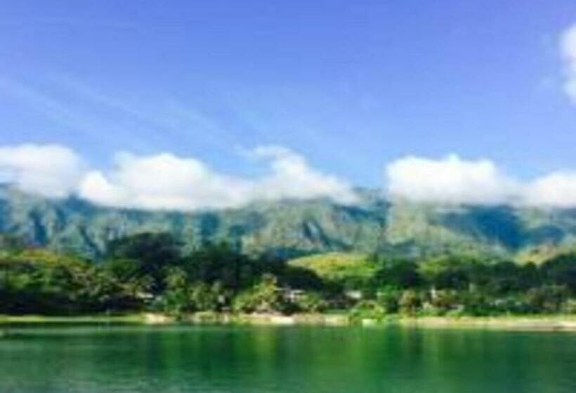 膳宿费 Laster Jony S