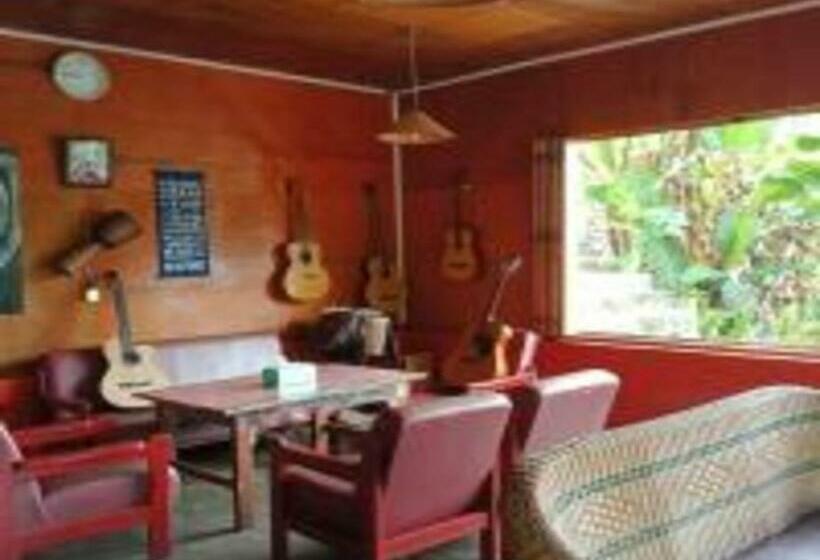 膳宿费 Laster Jony S