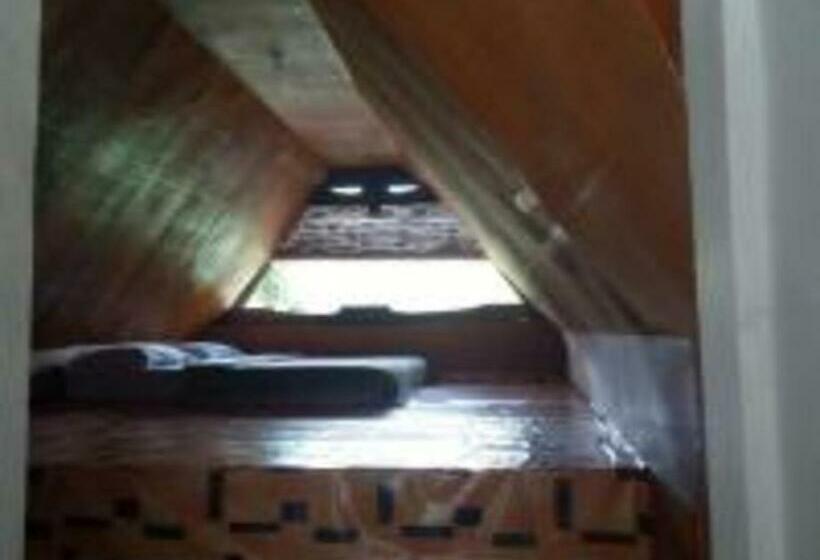 膳宿费 Laster Jony S