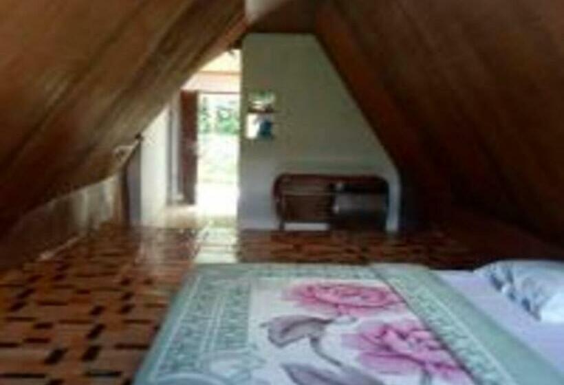 膳宿费 Laster Jony S