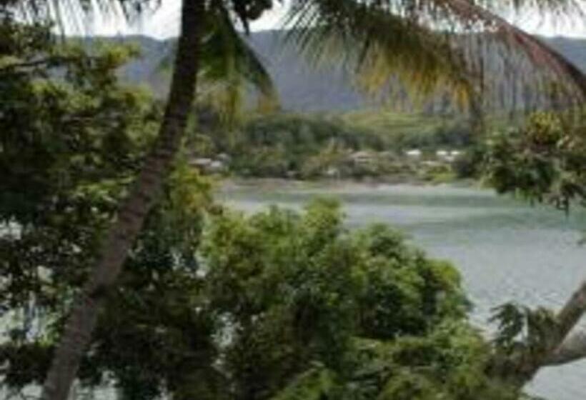 膳宿费 Laster Jony S