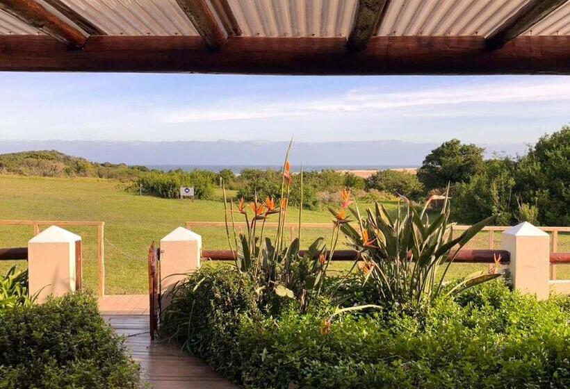 بنسيون Oyster Bay Lodge