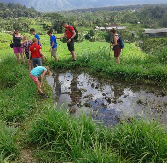 פנסיון Pondok Lembah Dukuh Homestay