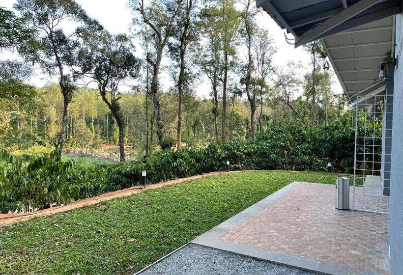 渡假胜地  Machaan Wilderness Lodge Nagarahole