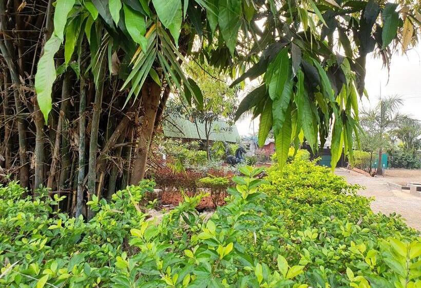 אתר נופש Sadabahar Moments   Hostel