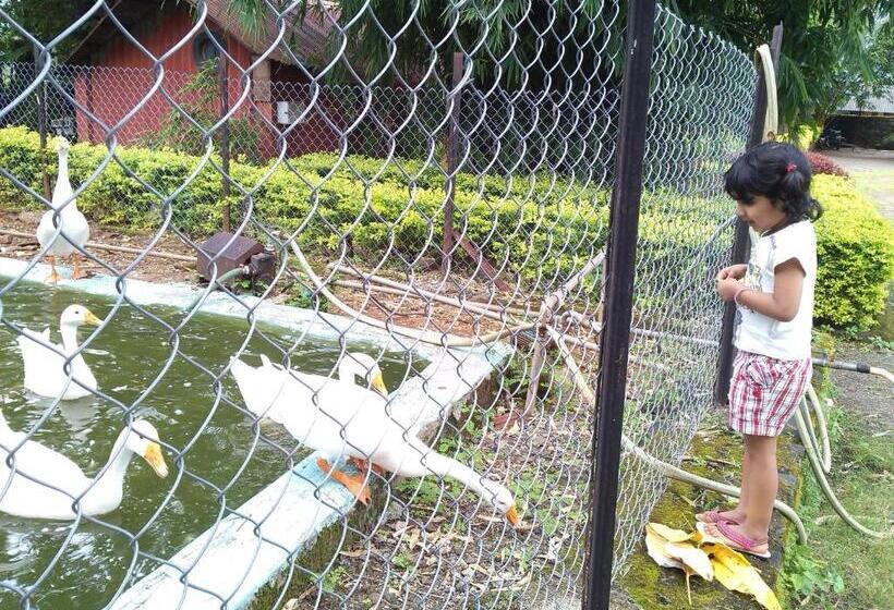 אתר נופש Sadabahar Moments   Hostel