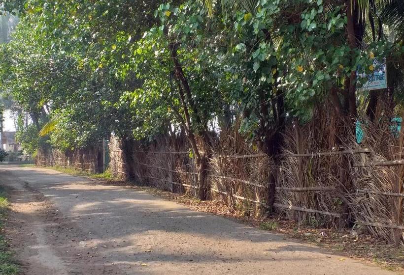 אתר נופש Sunshine Beach Cottage