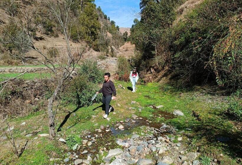 Skywood Resort Shoghi