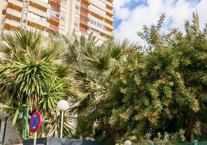 Apartamentos El Faro By Mc