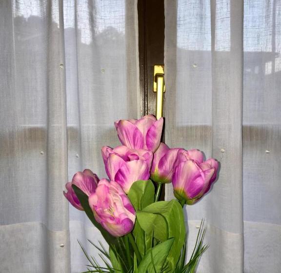 Apartamentos Palombina