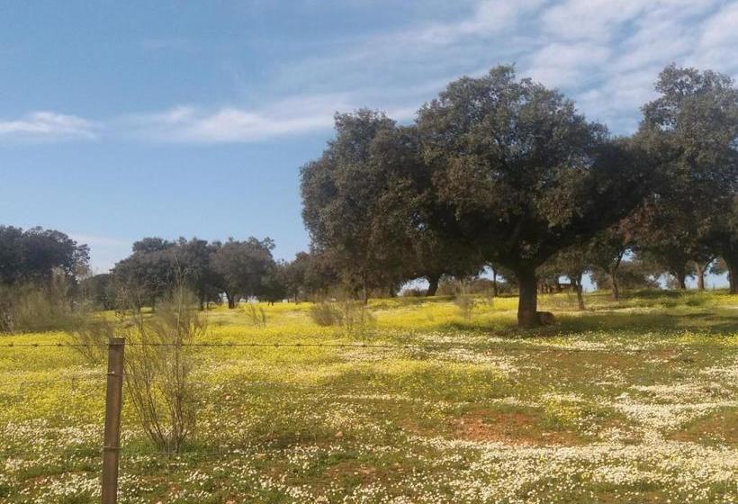Apartamentos De Astroturismo La Cañada