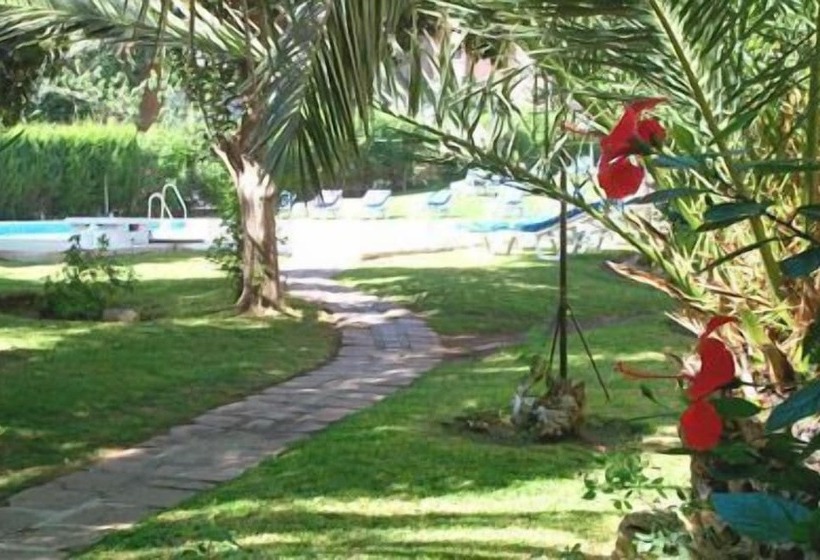 Apartamentos San Carlos