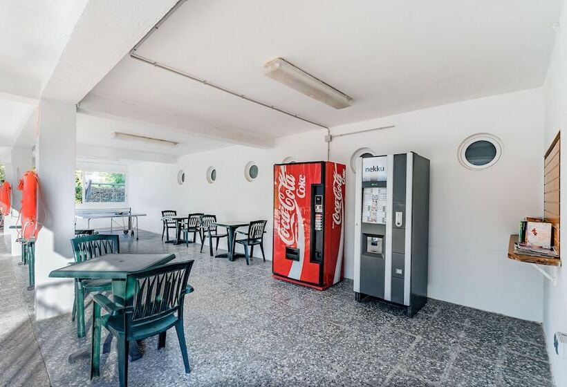 Apartamentos Sunway Amapola