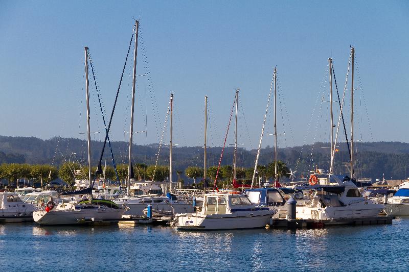 Duerming Park Viveiro