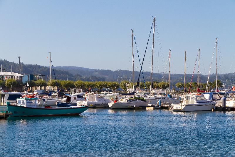 Duerming Park Viveiro