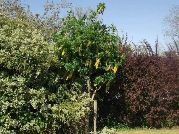 酒店 Aisleigh Guest House