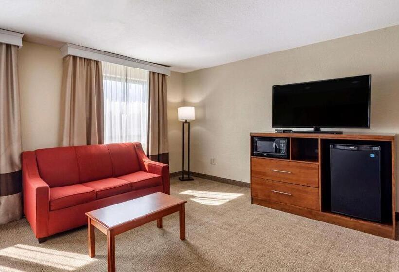 هتل Comfort Inn Nashville West