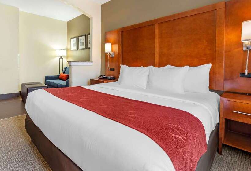 ホテル Comfort Suites Newark  Harrison