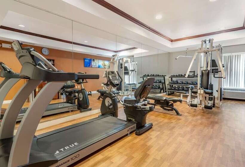 ホテル Comfort Suites Newark  Harrison