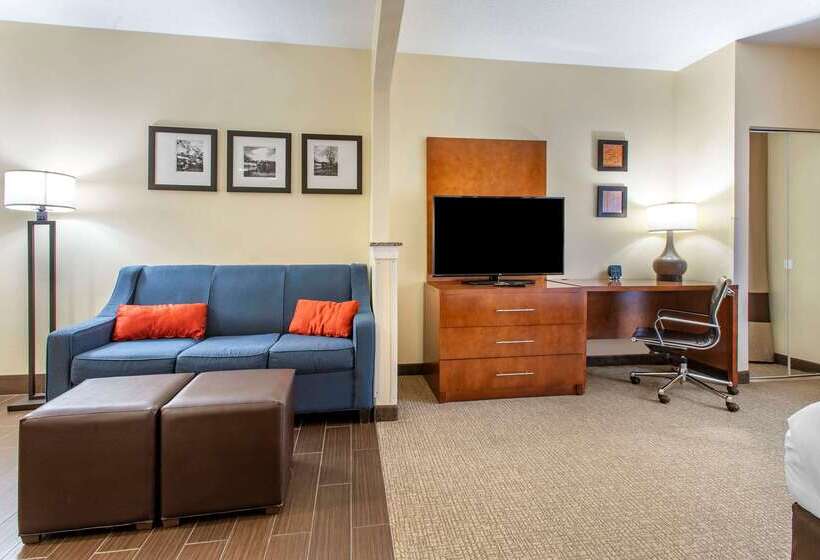 ホテル Comfort Suites Newark  Harrison