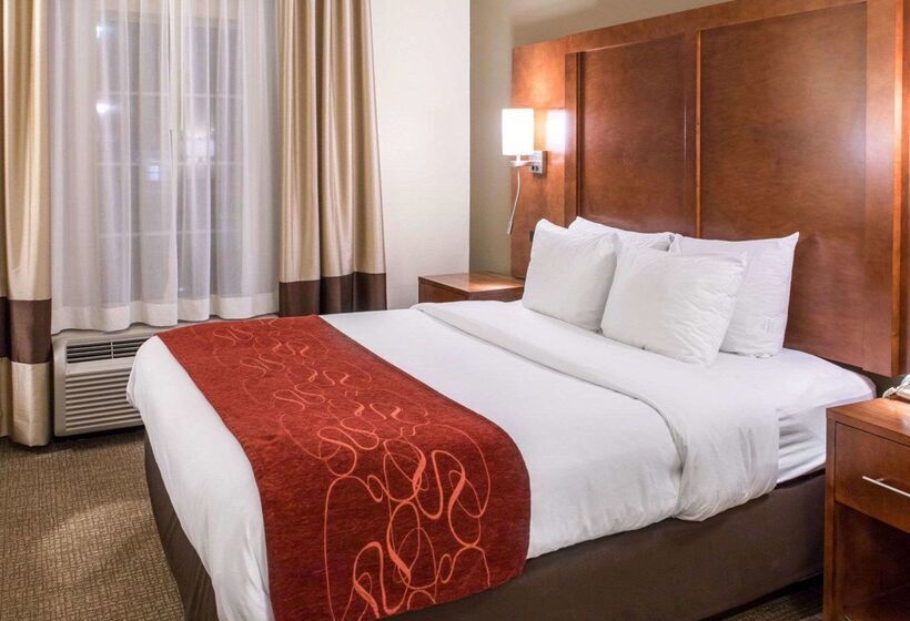 ホテル Comfort Suites Newark  Harrison