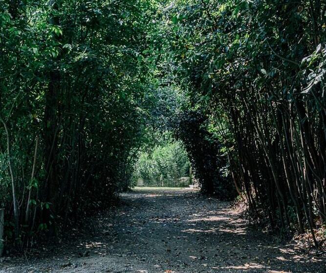 Conimbriga Hotel Do Paço