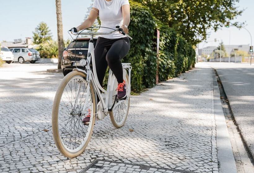 Conimbriga Hotel Do Paço