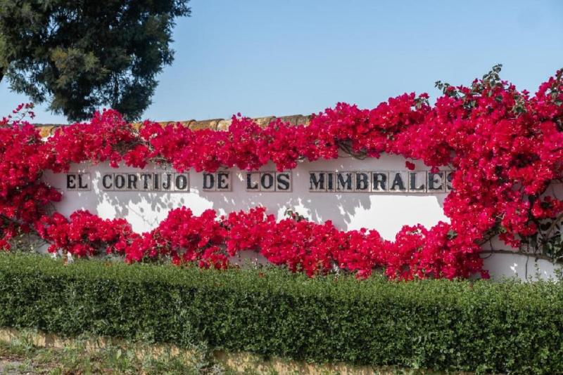 فندق Cortijo De Los Mimbrales