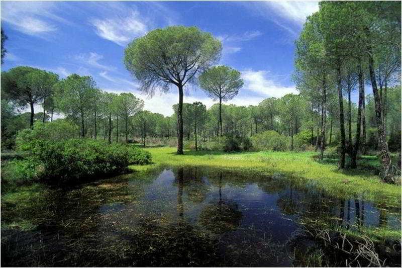 ホテル Cortijo De Los Mimbrales