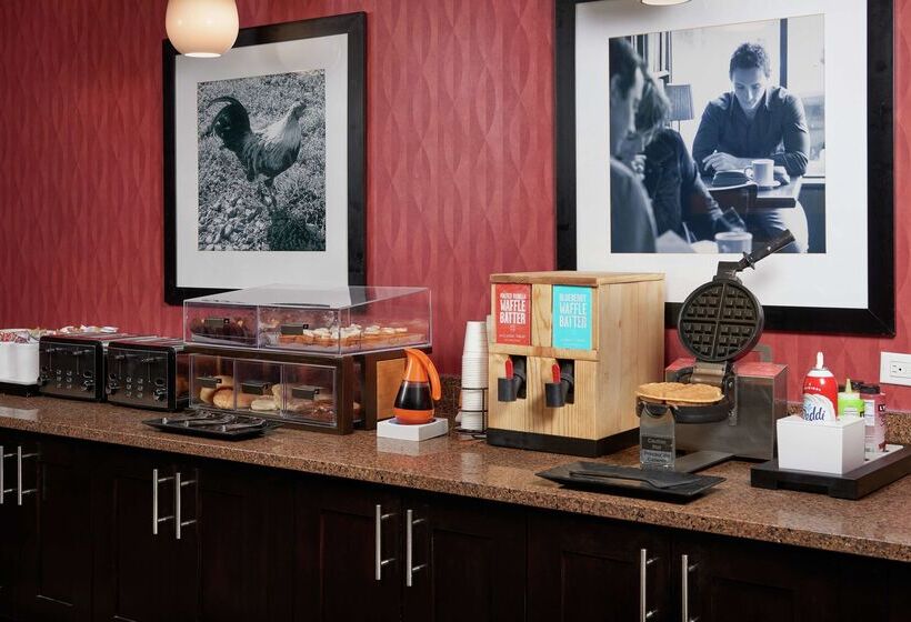 בית מלון כפרי Hampton Inn Niagara Falls