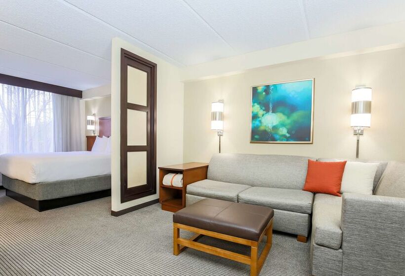 ホテル Hyatt Place Dallas/grapevine