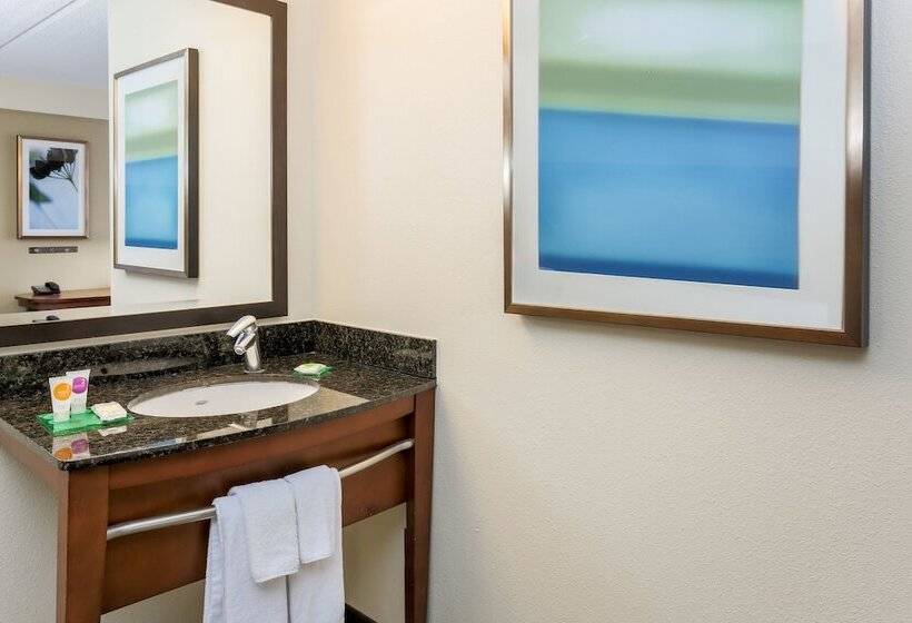 ホテル Hyatt Place Dallas/grapevine