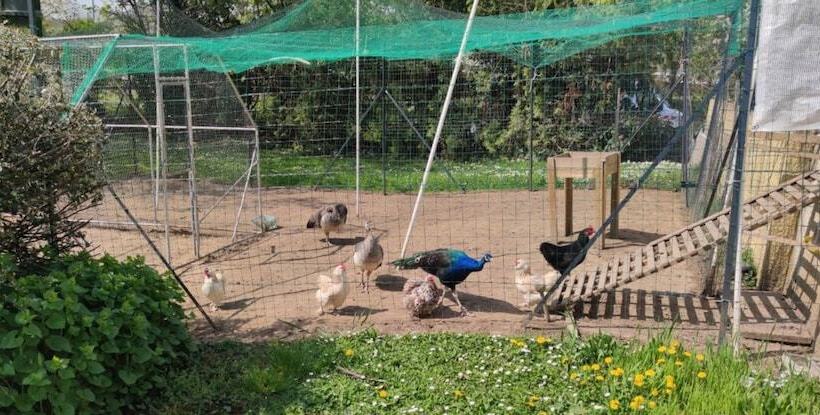 فندق Kyriad Mulhouse Est  Lutterbach