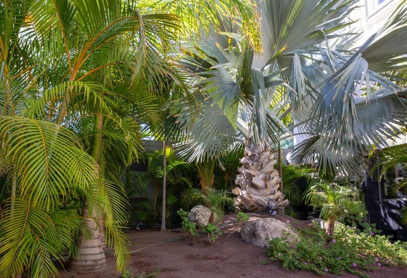 Отель Labranda Marieta & Spa   Adults Only