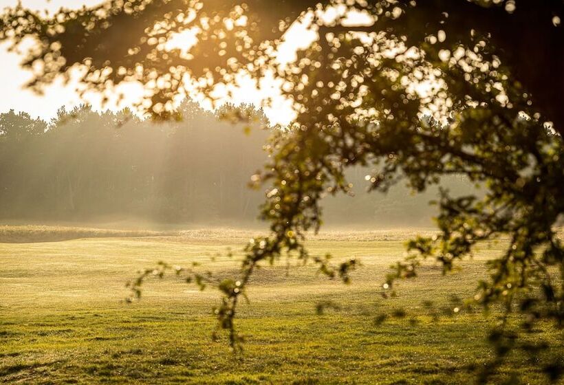 فندق Manoir Du Dragon