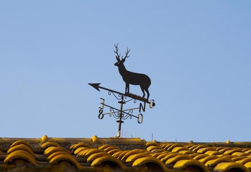 호텔 Paraiso De Bujaraiza