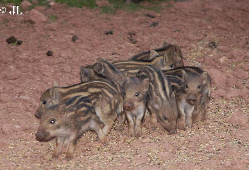 호텔 Paraiso De Bujaraiza