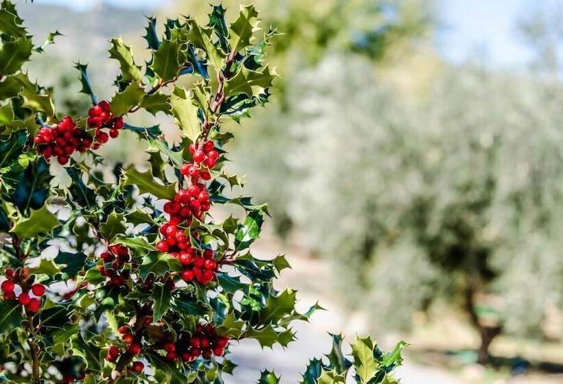 교외 호텔 Rural Los Nogales