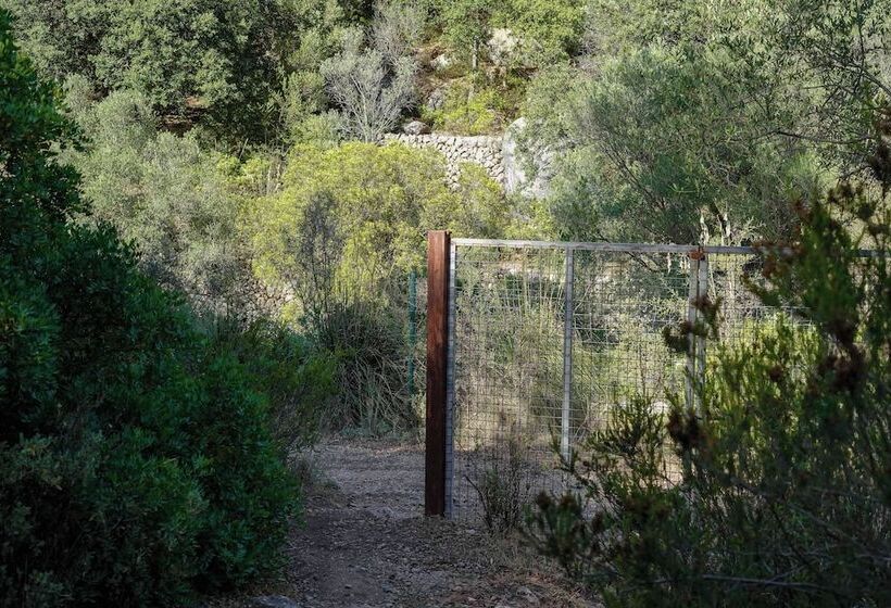 田舎風ホテル Rural S Olivaret & Spa