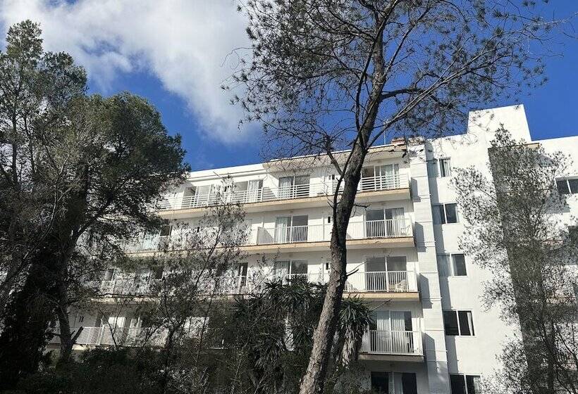 ホテル Selva Arenal