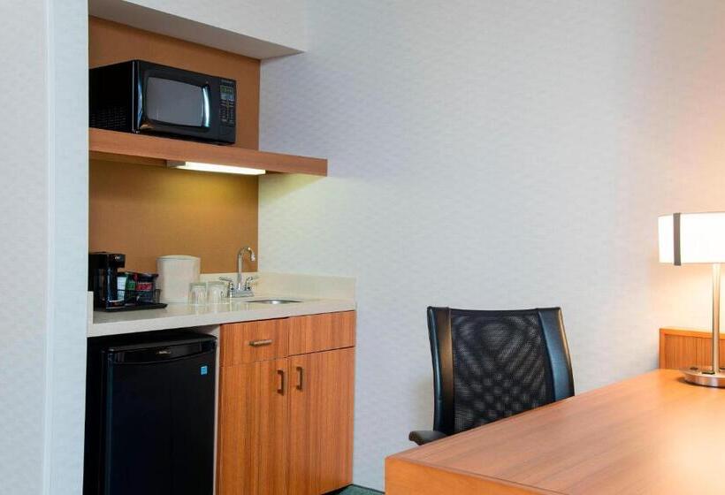 酒店 Springhill Suites By Marriott Peoria