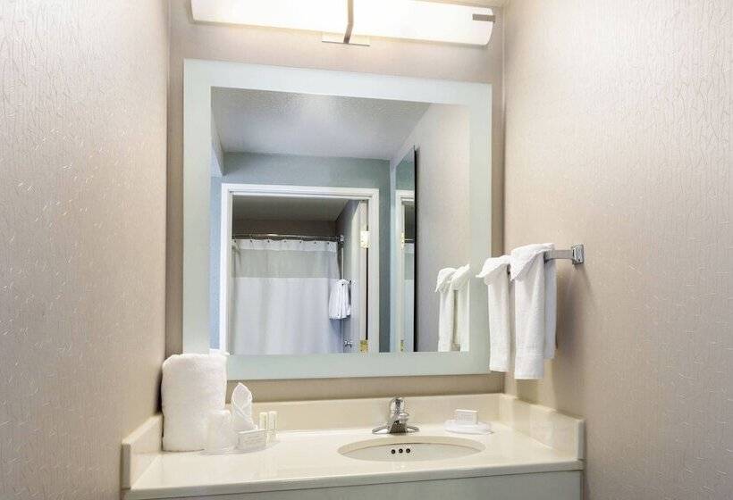 酒店 Springhill Suites Louisville Hurstbourne/north