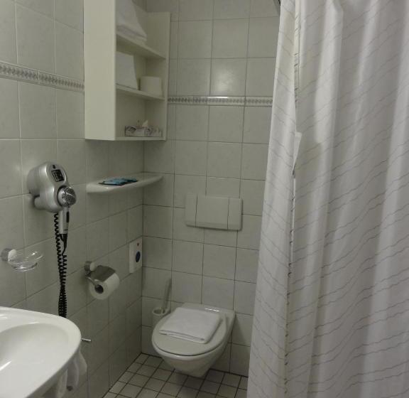 酒店 Steinbock Grindelwald