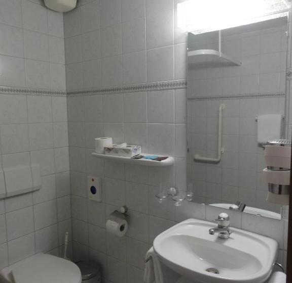 酒店 Steinbock Grindelwald