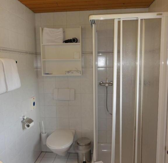 酒店 Steinbock Grindelwald