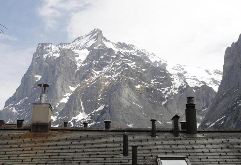 酒店 Steinbock Grindelwald