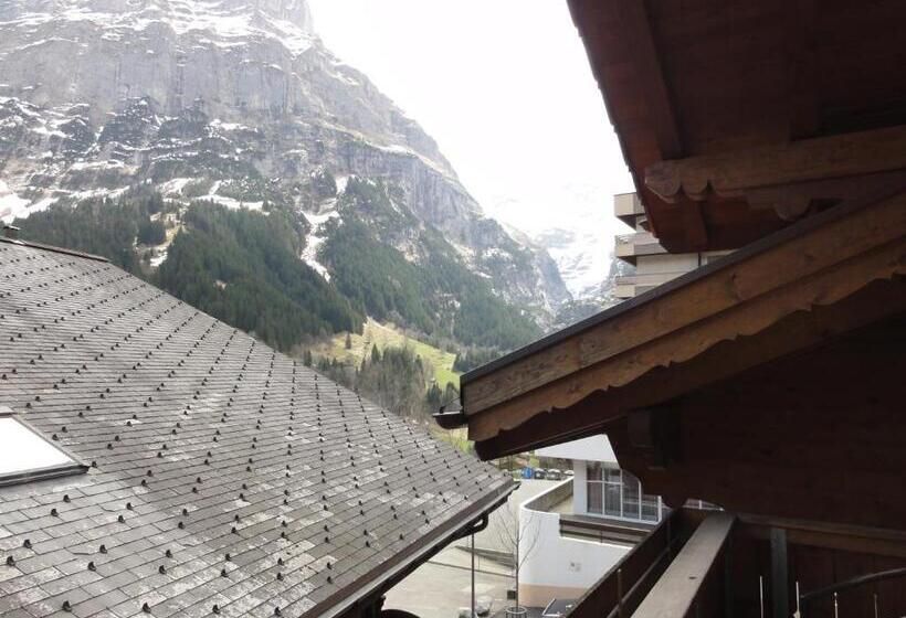 酒店 Steinbock Grindelwald