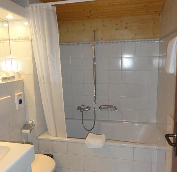 酒店 Steinbock Grindelwald